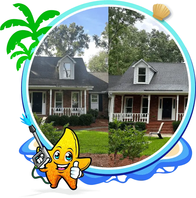 Roof Cleaning Charleston, SC
