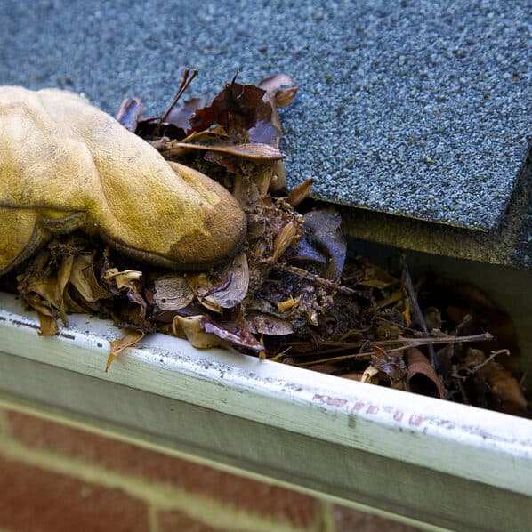 Gutter Cleaning Louisville KY