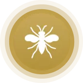 Better View Insect Screen (Standard)