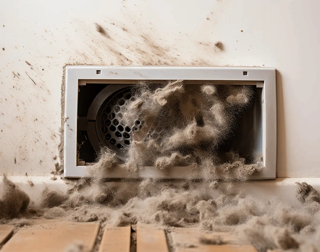 Dust and Dust Mites