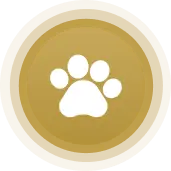 Pet Window and Door Screen