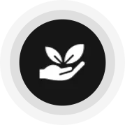 Environmental-Friendly