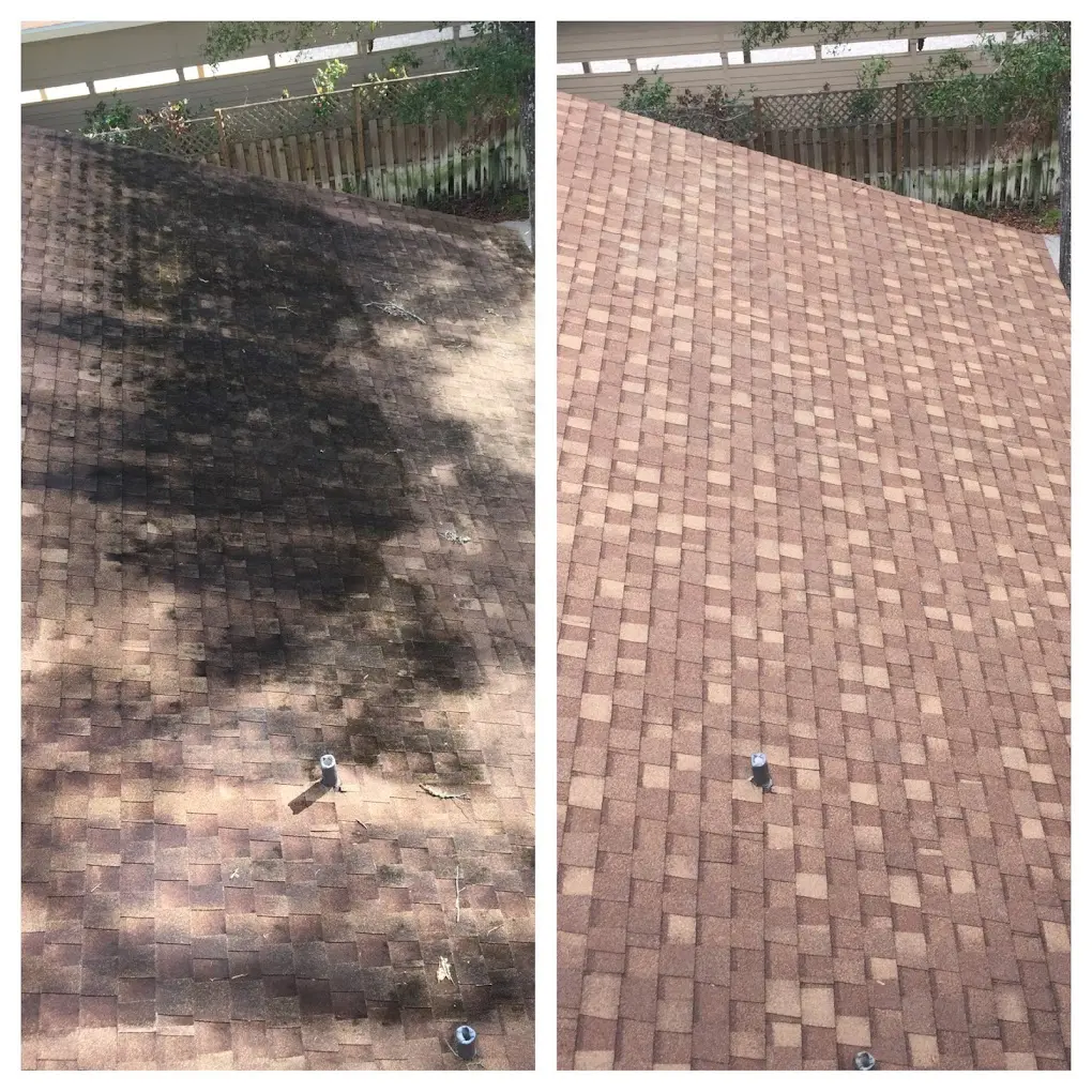Roof Cleaning in Port Orange, FL