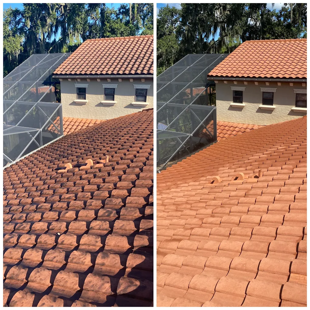 Roof Cleaning in Casselberry FL