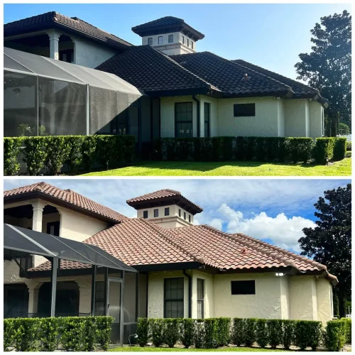 Before and After 2 (1) (1)