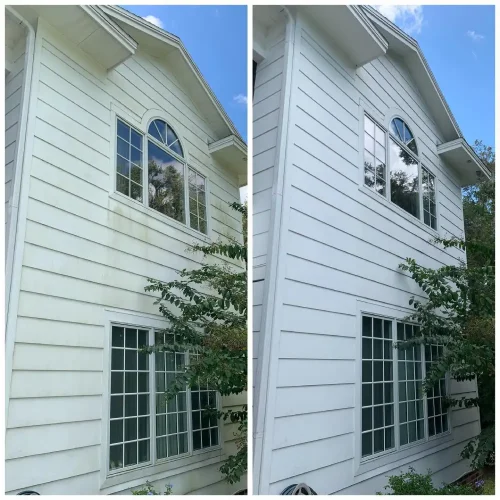 Before and After 5