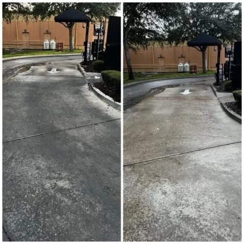 Drive Through Cleaning in Longwood FL