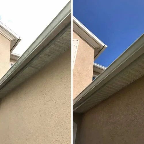 Gutter Cleaning in Longwood FL