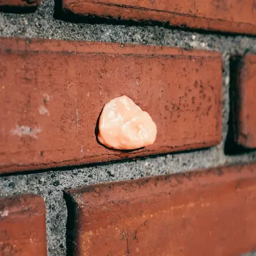 Brick with Gum