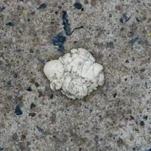 Gum Concrete