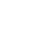icon budget