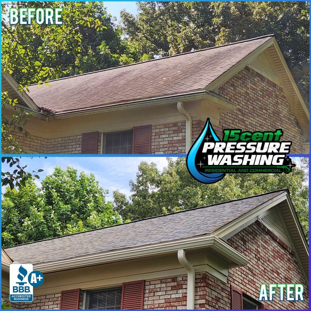 roof cleaning mount pleasant tn