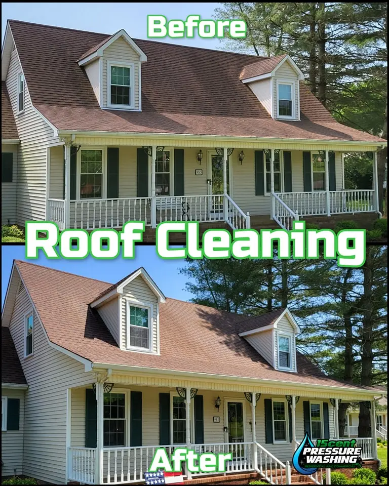 roof cleaning franklin tn