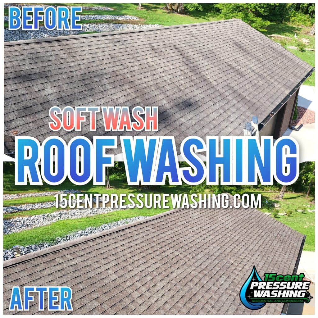 Roof Cleaning College Grove TN
