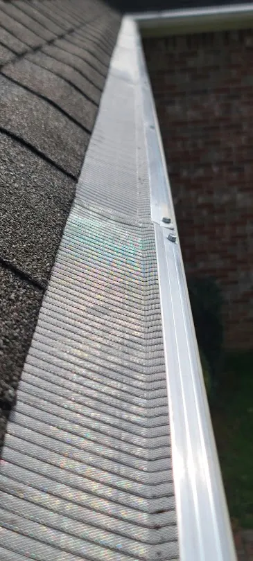 Gutter Cleaning in Mount Pleasant, TN