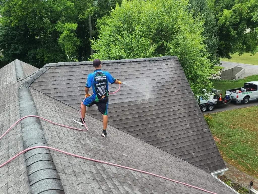 Roof Cleaning in Bon Aqua Junction, TN