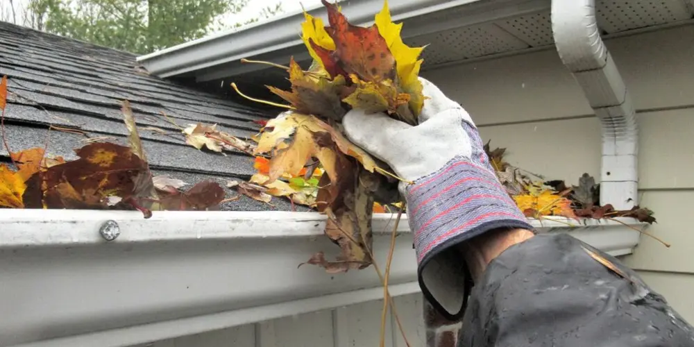 Gutter Cleaning