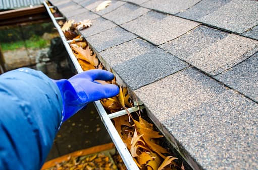 Gutter Cleaning in Perry, GA