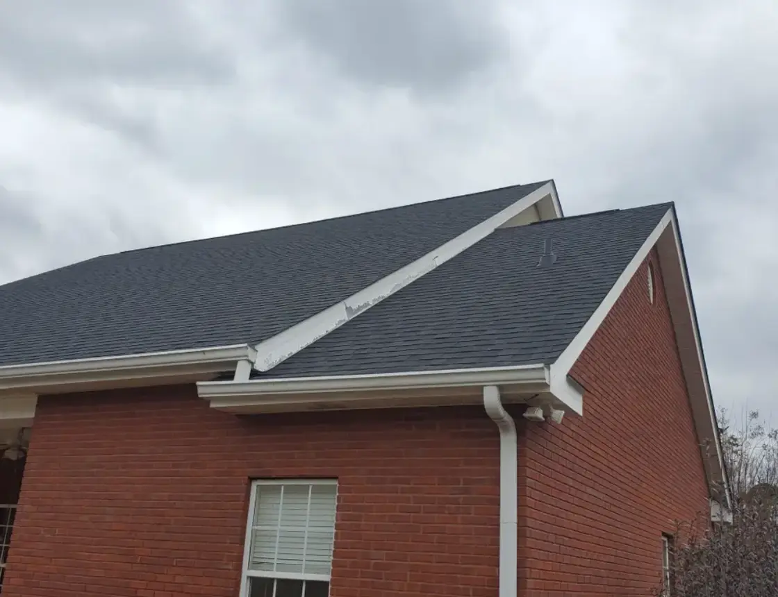 roof cleaning perry ga