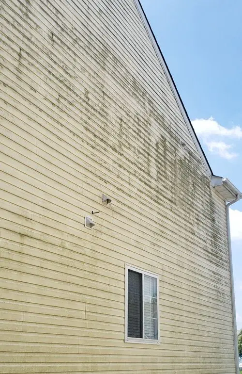 House Pressure Washing Greensboro NC