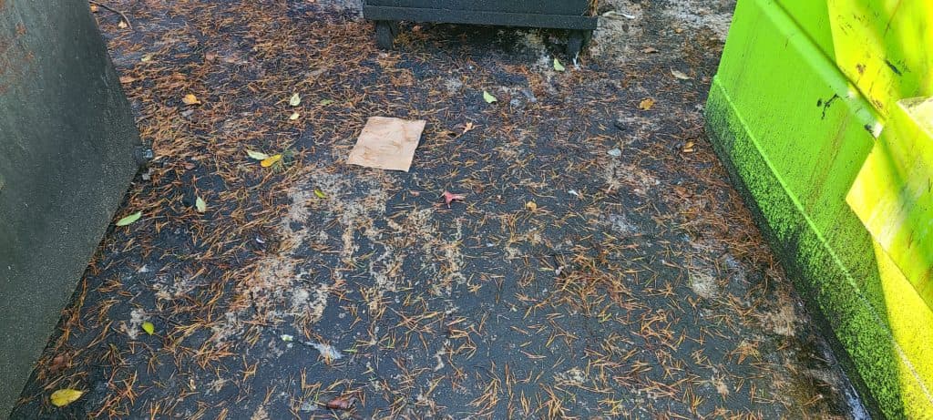 Dumpster Pad Cleaning Greensboro NC