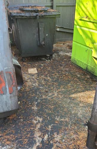 Dumpster Pad Cleaning Greensboro NC