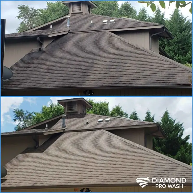 Roof Cleaning Greensboro, NC