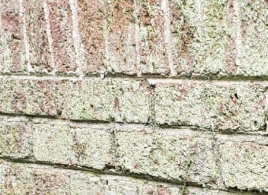 House Washing Greensboro NC