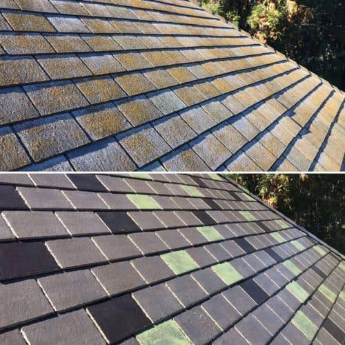 Roof Cleaning