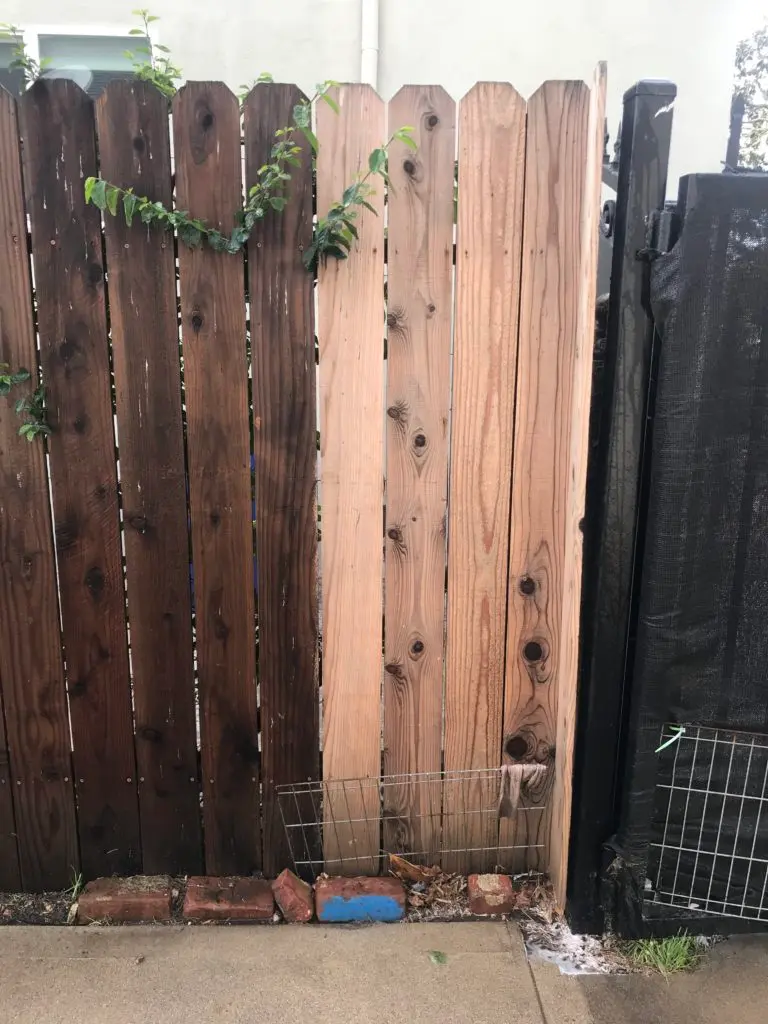 Deck and Fence Restoration