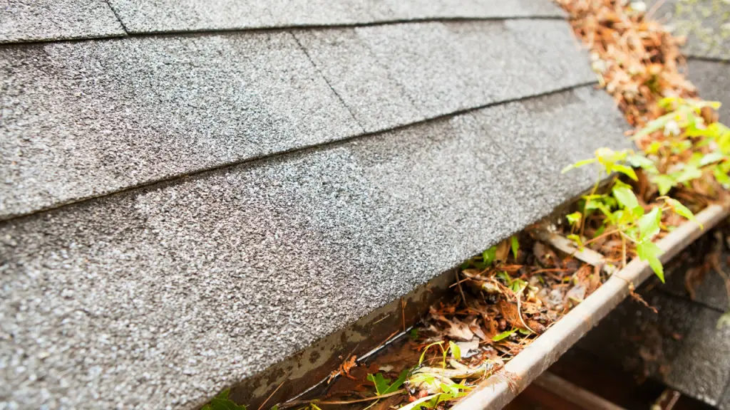 Gutter Cleaning Metairie LA