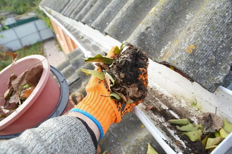 Gutter Cleaning in Delaware, OH