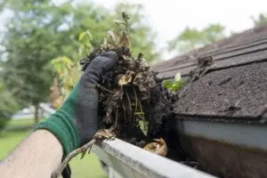 Gutter Cleaning Columbus Ohio