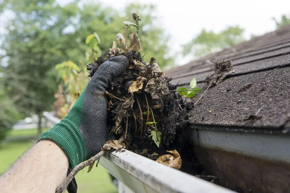 Gutter Cleaning Columbus Ohio