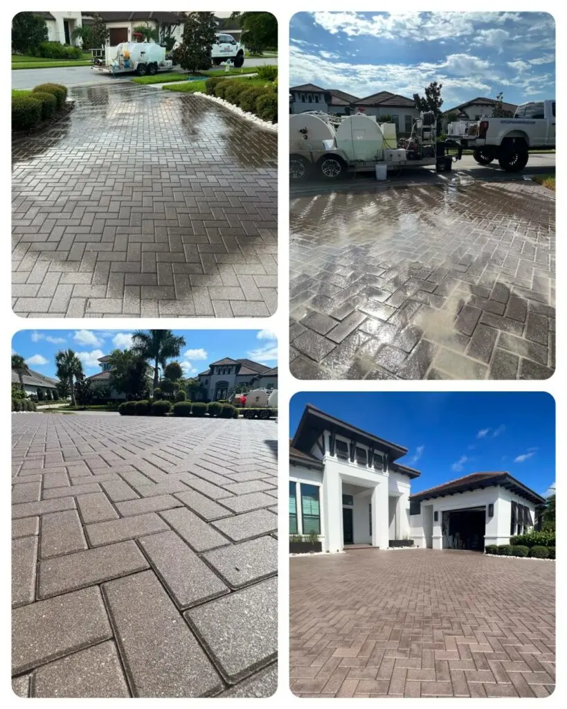 Paver Stripping