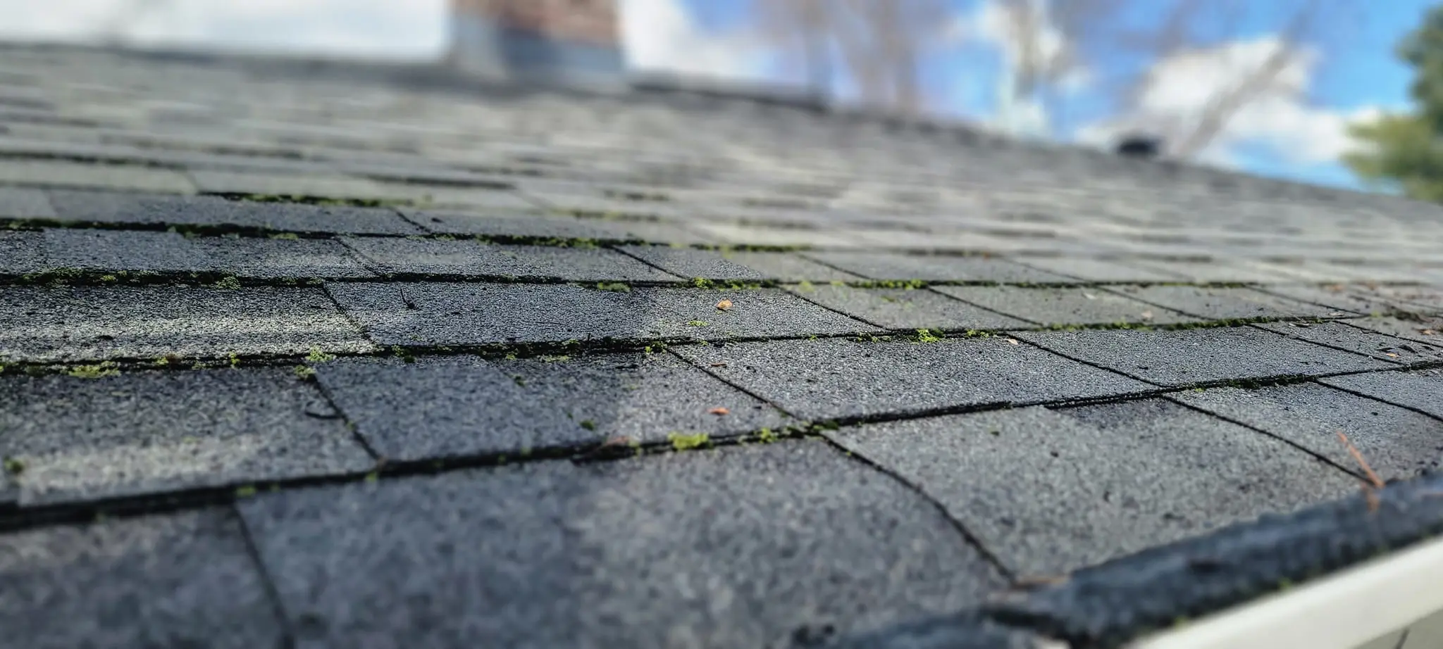 Roof Cleaning in Madison WI