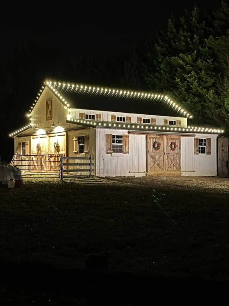 Christmas Light Installation Salt Lake City