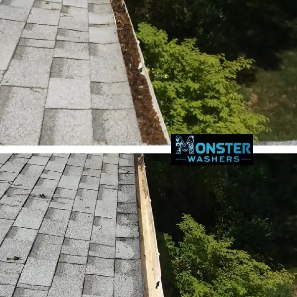 Gutter Cleaning Salt Lake City