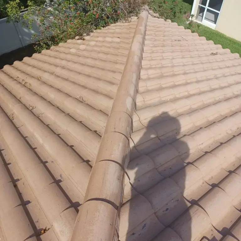 roof cleaning Punta Gorda FL