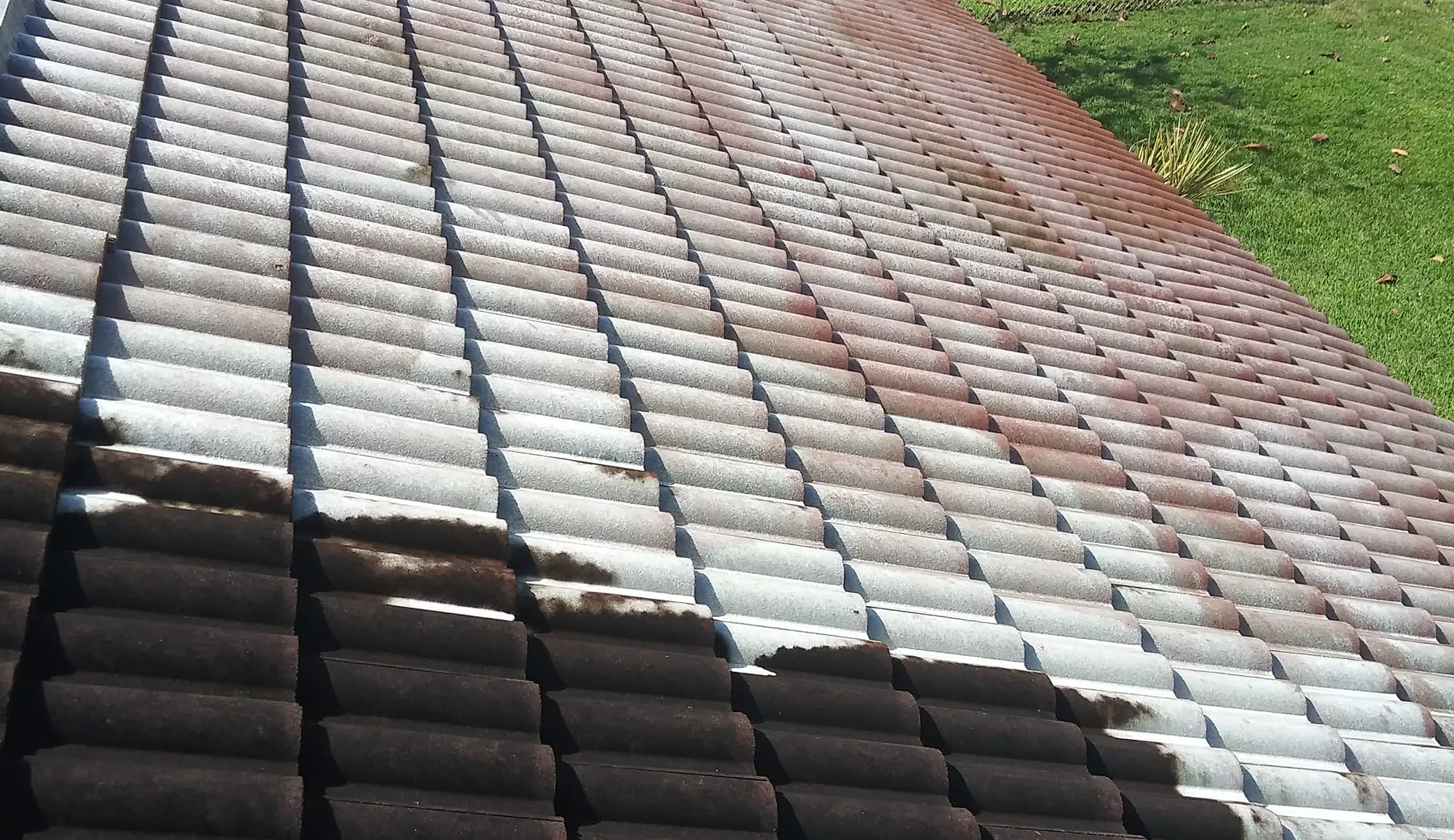 Roof Cleaning Lehigh Acres, FL