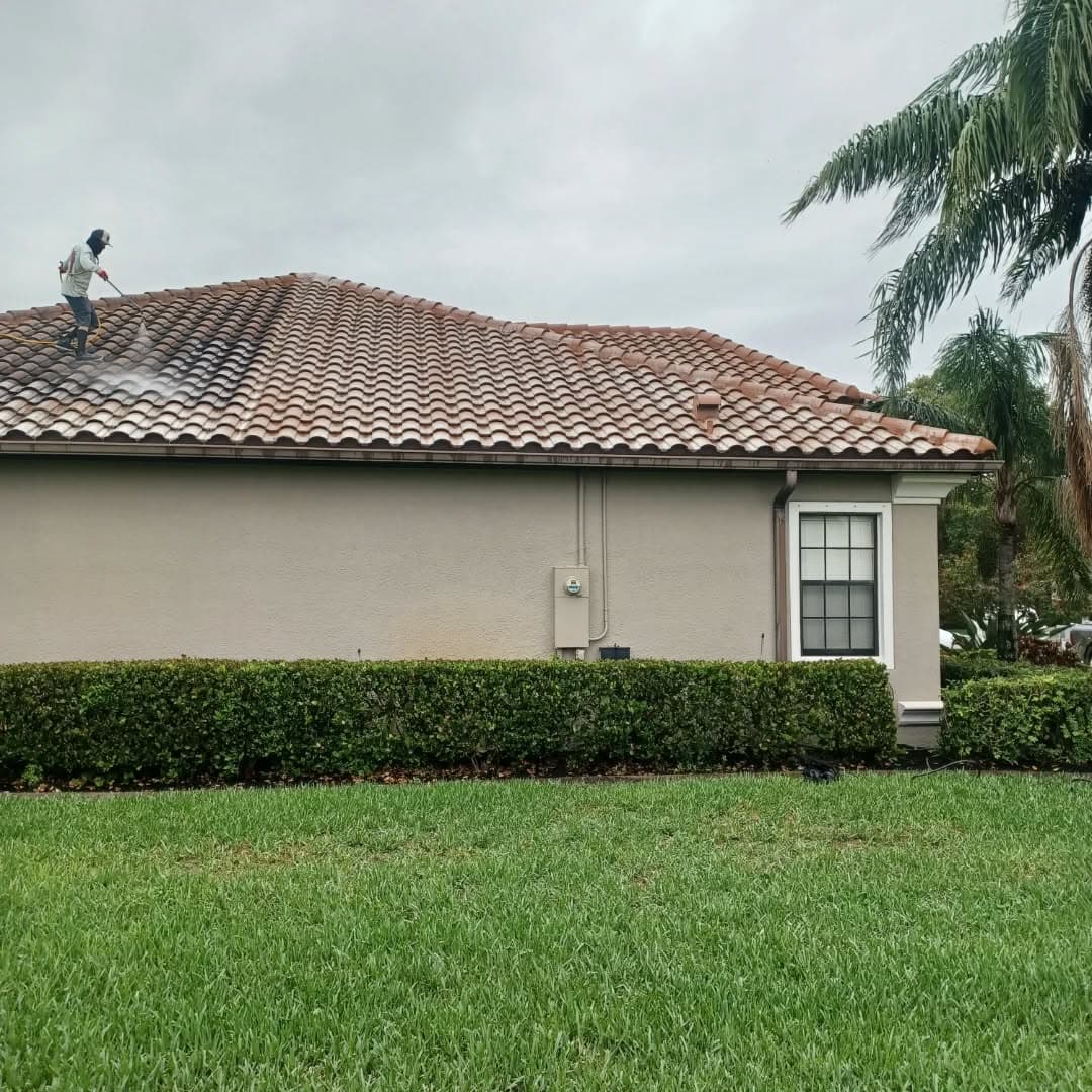 soft wash oof cleaning cape coral