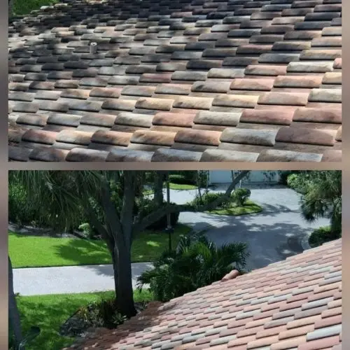 Roof Cleaning in Gateway, FL