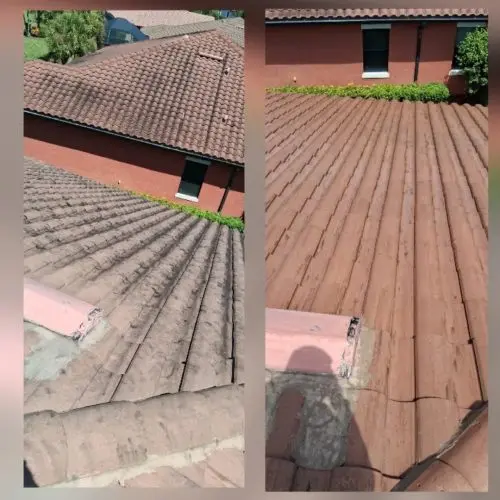 Roof Cleaning in Estero, FL