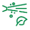 Environmentally Friendly Icon