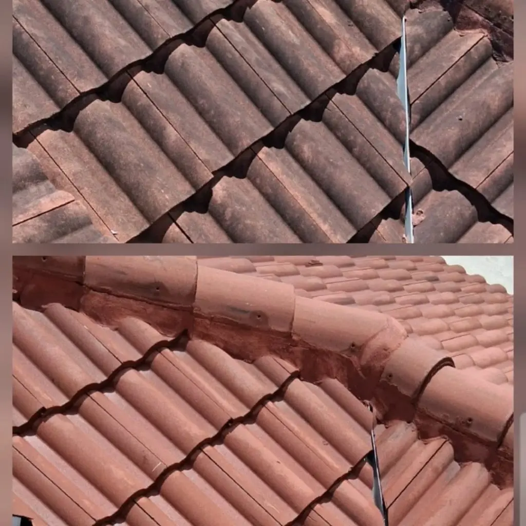 Roof Cleaning in Iona, FL