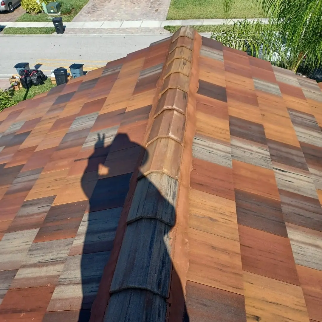 roof cleaning Port Charlotte FL