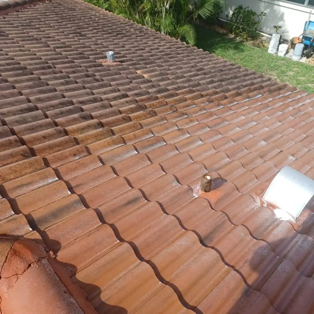 Roof Cleaning in Bonita Springs, FL
