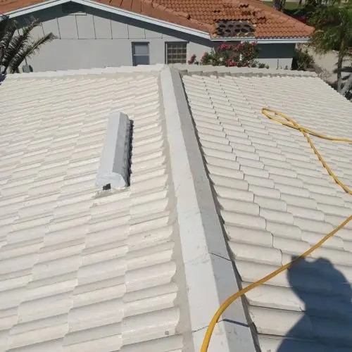 Roof Cleaning in Bonita Springs, FL