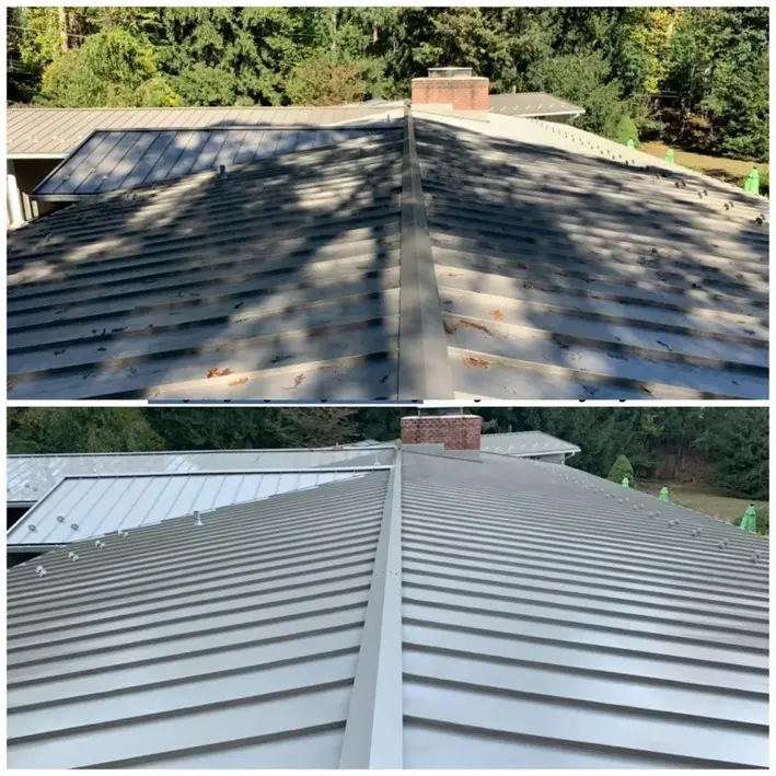 Roof Cleaning in New Market, MD