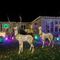 Wreath, Reindeer, and Yard Décor Placements